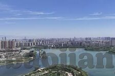大象视频在线免费播放-探索大象视频，在线免费播放的无限魅力
